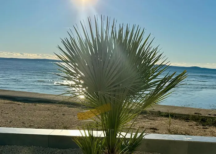 Jamc Dream Direkt Am Mit Beheiztem Pool Apartamento Privlaka (Zadar)